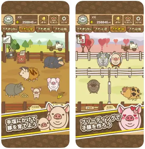 サービス画像
