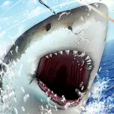 釣りキング : 釣りの王様のアイコン