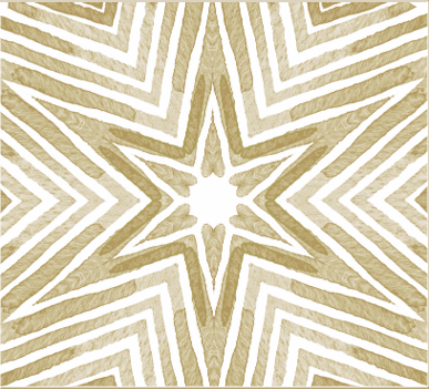 ブランドパーパス/ビジョン