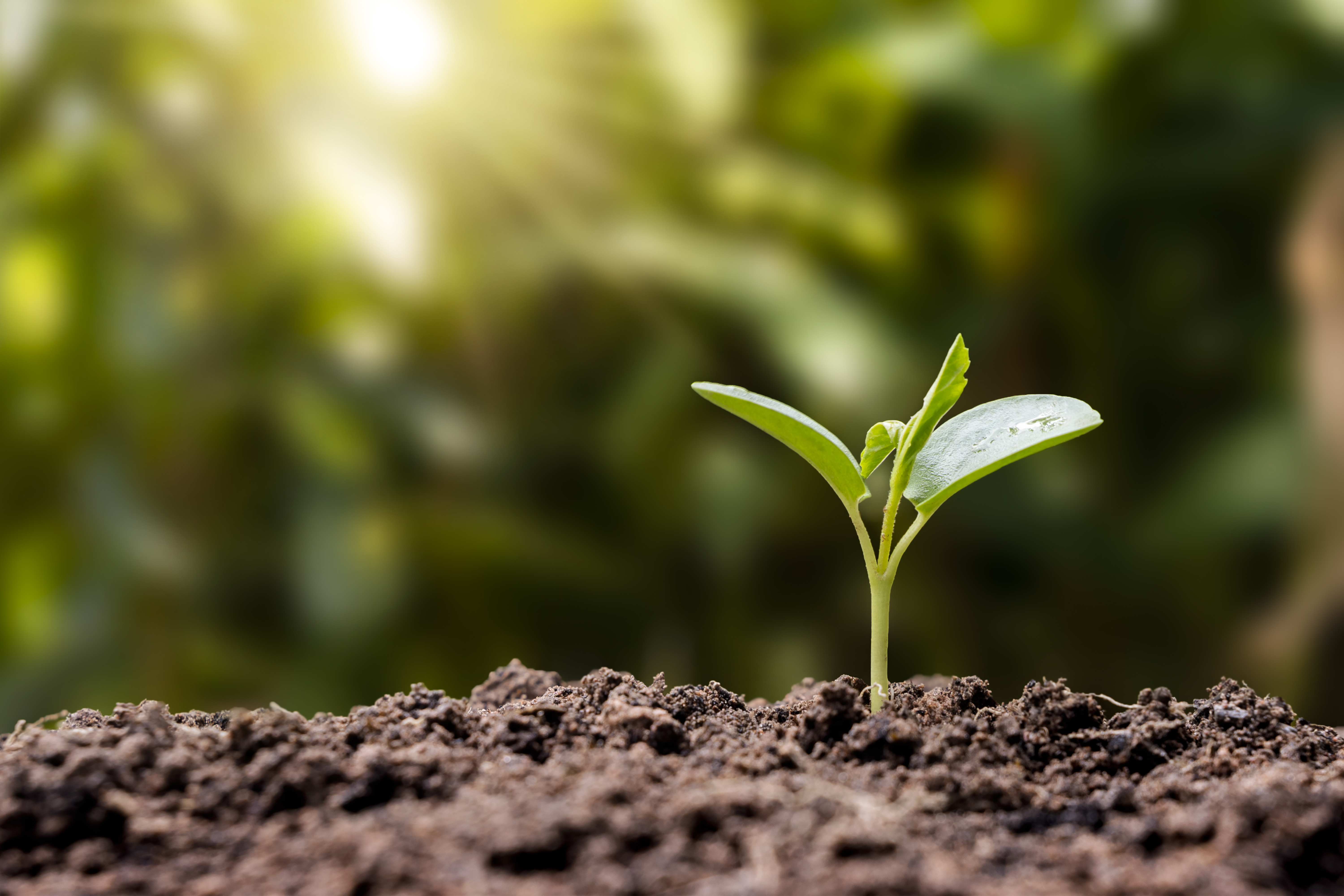 GXをコストではなく成長機会にするには？ ～Part1：カーボンニュートラルとGXの基本構造編～