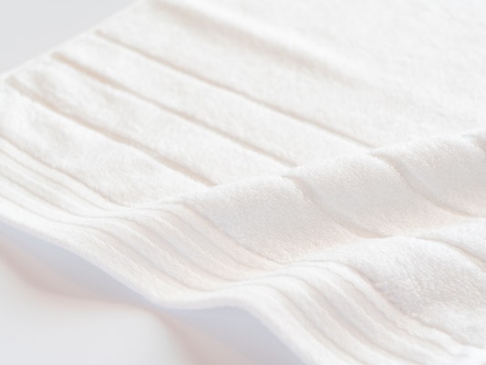 今治 スーピマ (ハク)