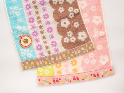 スティルシーナ(花)