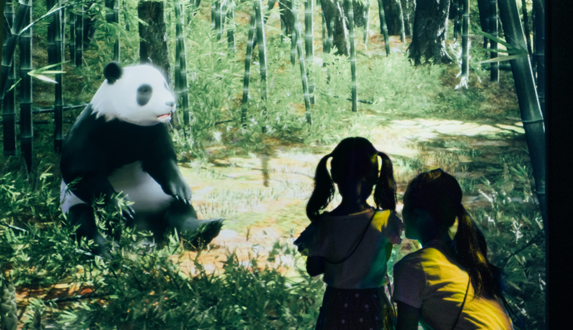 Product and Service Development