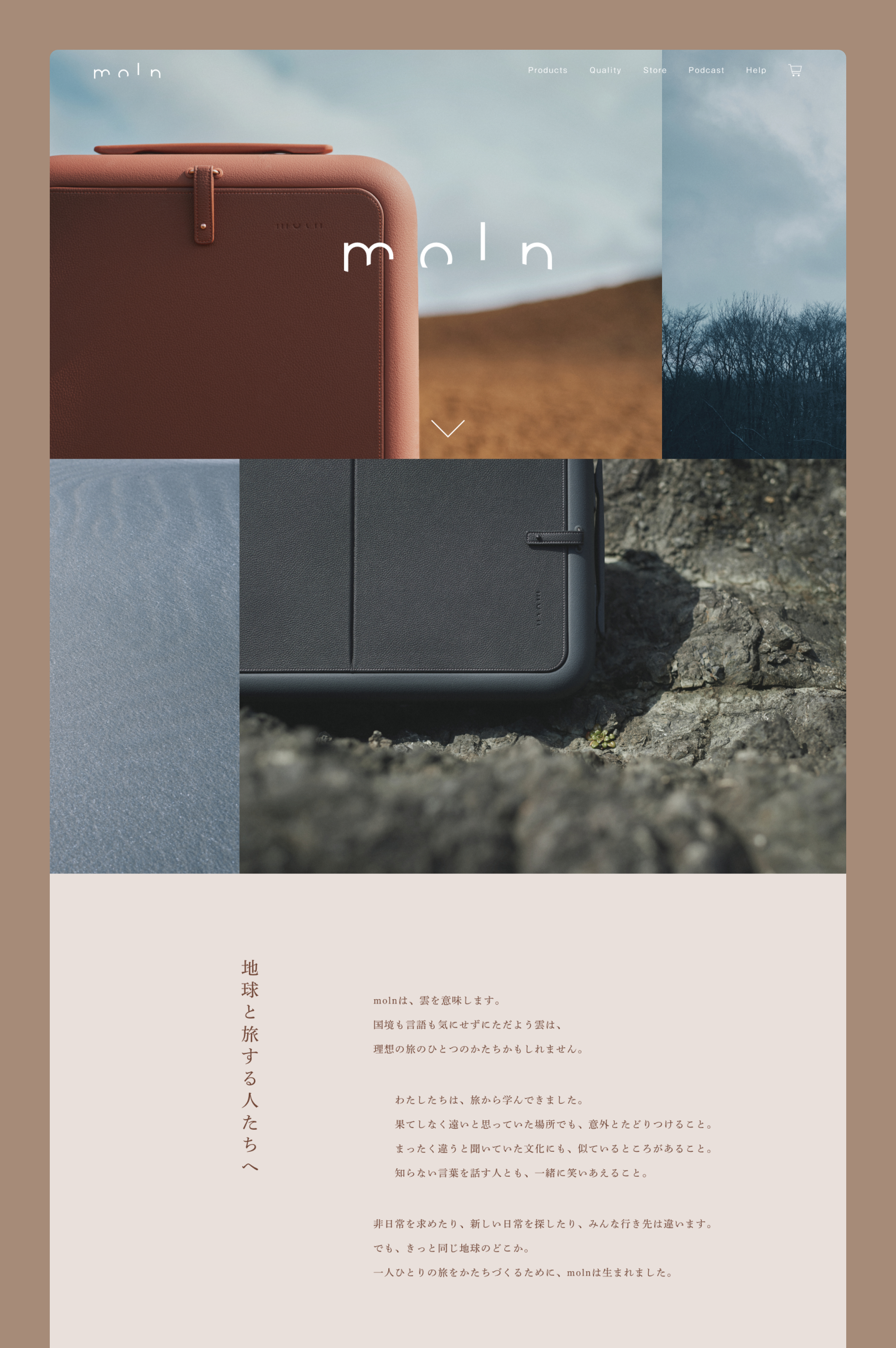 moln ブランドサイトデザイン - AID-DCC Inc.