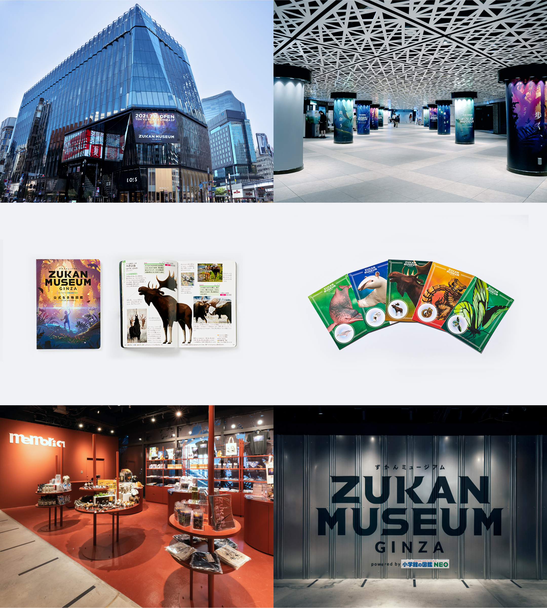 ZUKAN MUSEUM GINZA powered by 小学館の図鑑NEO - AID-DCC Inc.