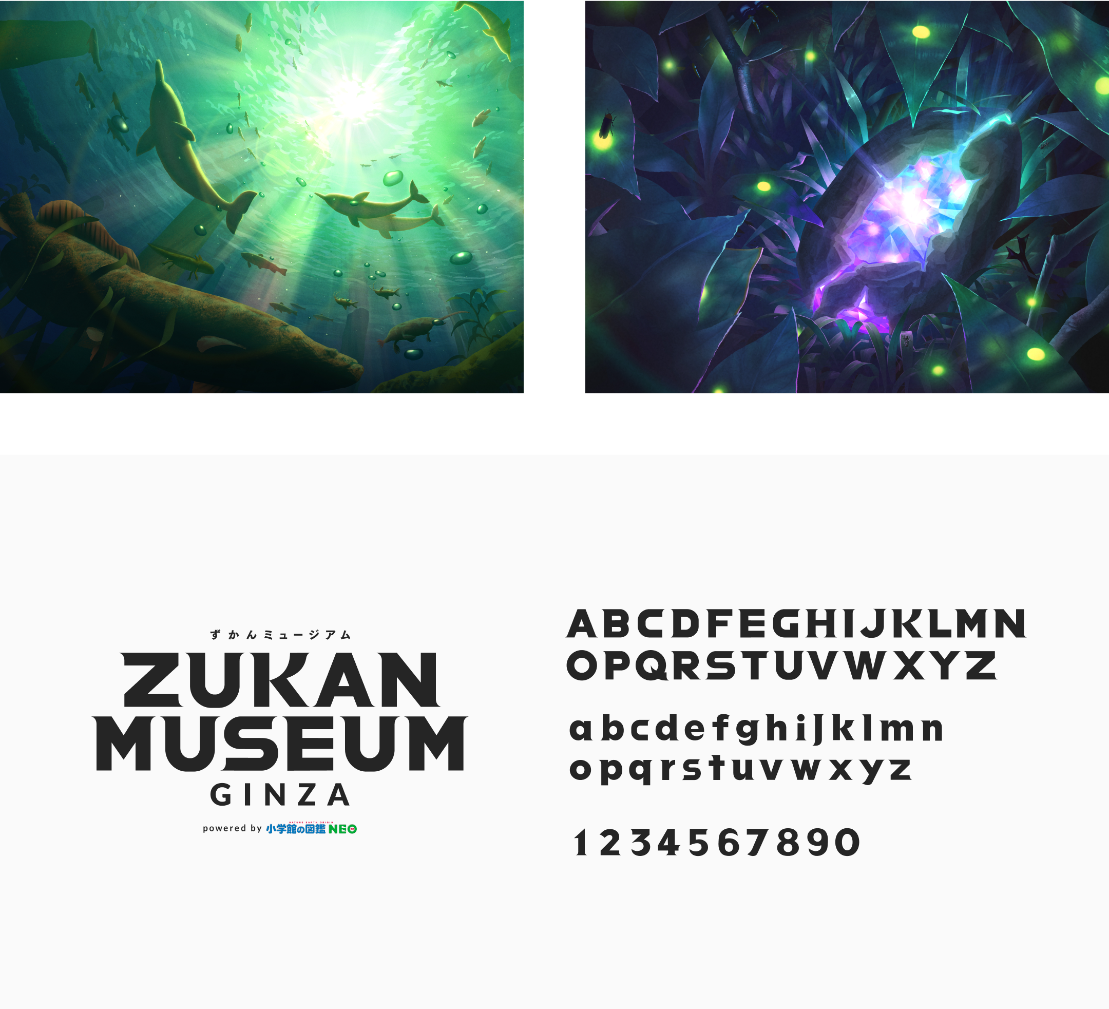 ZUKAN MUSEUM GINZA powered by 小学館の図鑑NEO