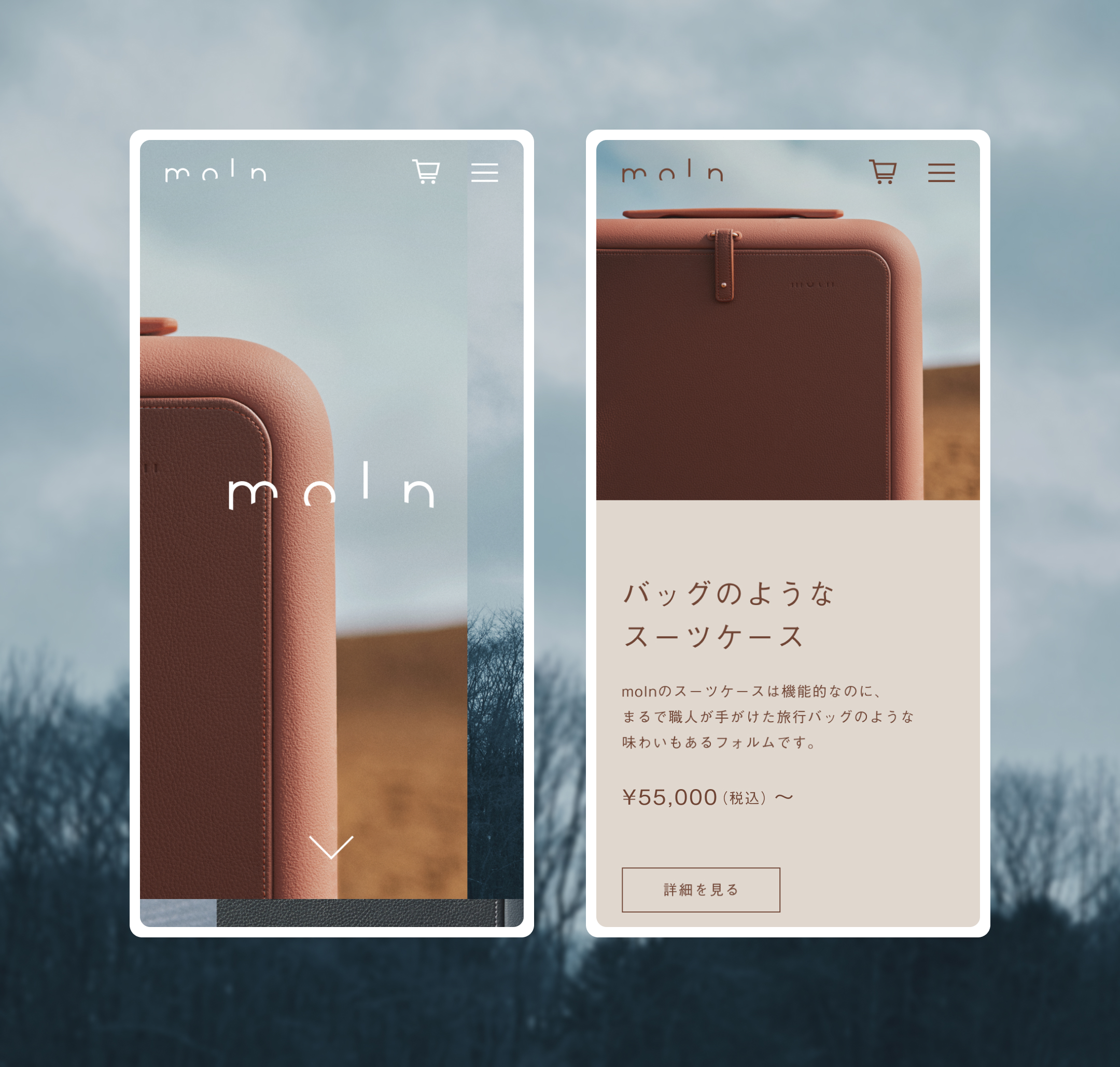 moln ブランドサイトデザイン - AID-DCC Inc.