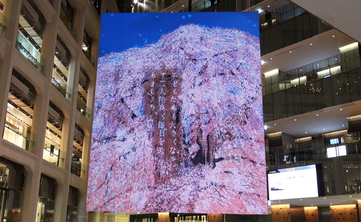 KITTE開業記念アートプロジェクト「想い桜」