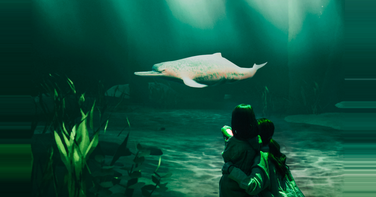 ZUKAN MUSEUM GINZA powered by 小学館の図鑑NEO - AID-DCC Inc. ZUKAN MUSEUM GINZA powered by 小学館の図鑑NEO - AID-DCC Inc.