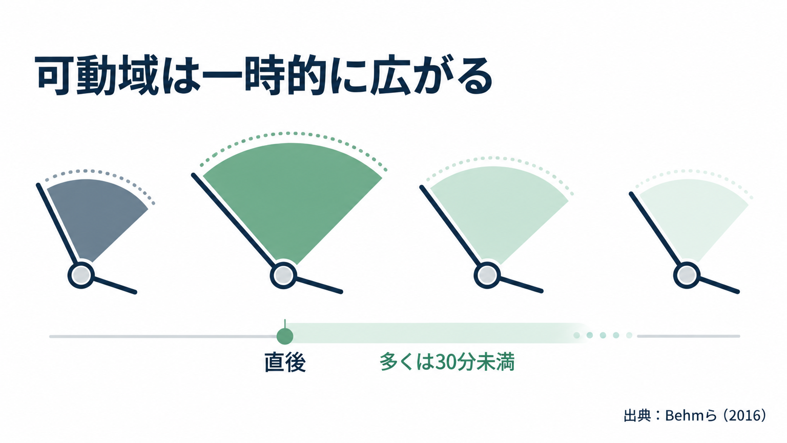 ストレッチで得られる直後の可動域拡大は一時的で、筋トレに必要な範囲へつなげて使う。