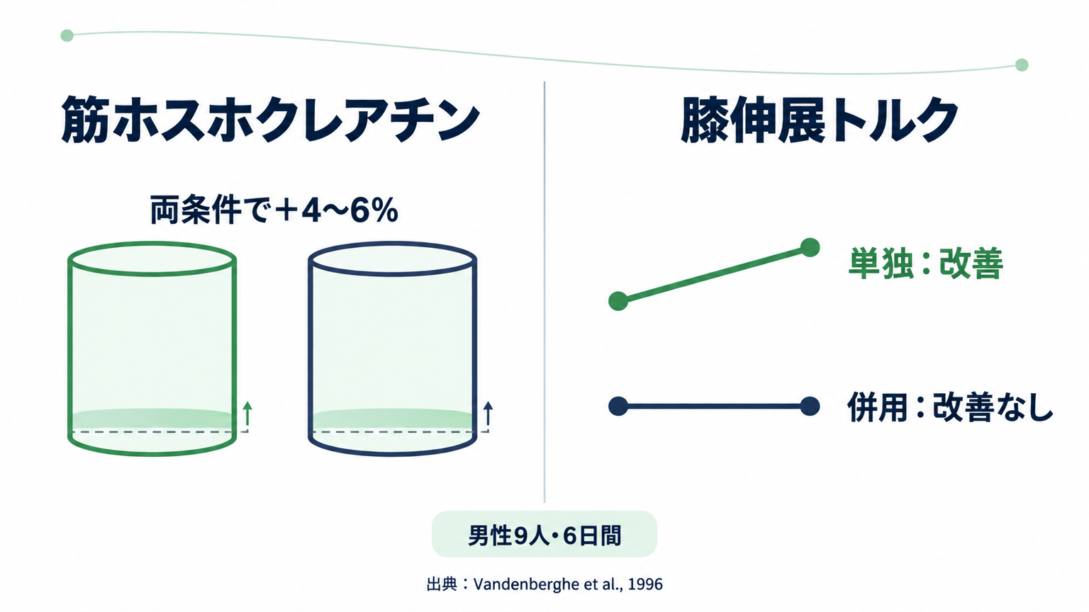 拮抗を報告した試験でも、カフェインが筋内ホスホクレアチンの増加を止めたわけではない。
