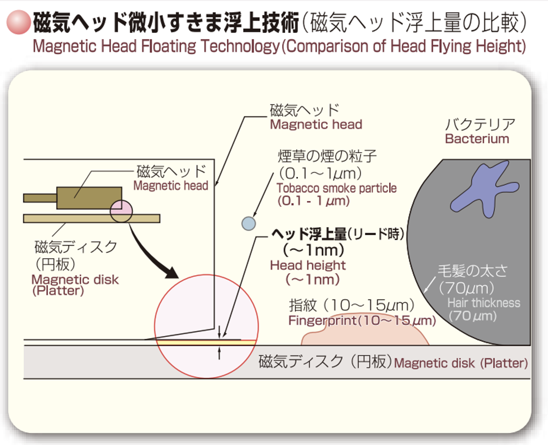展示キャプション