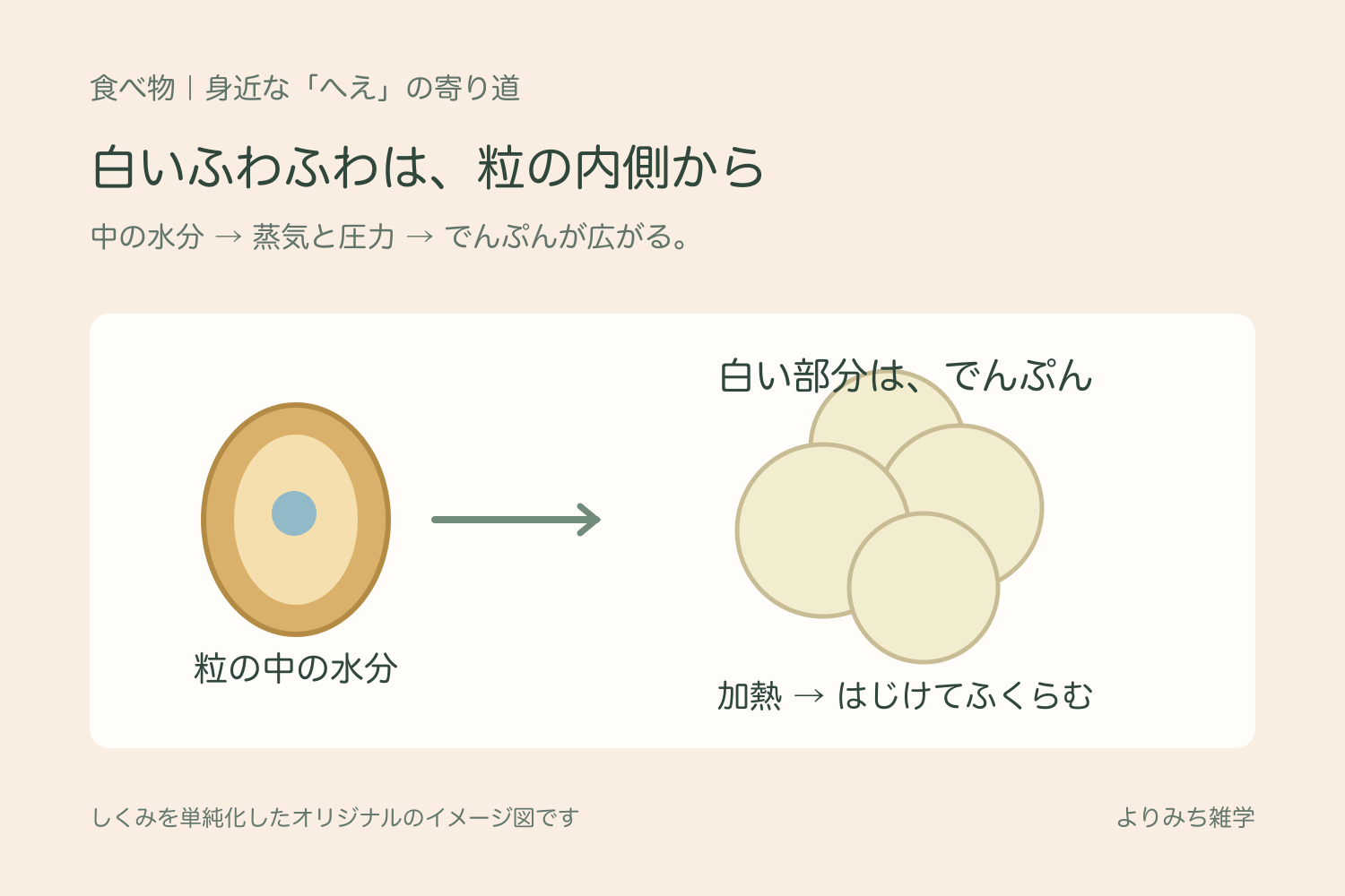水分を含むポップコーンの粒が加熱ではじけ、白いでんぷんがふくらむ流れのイラスト