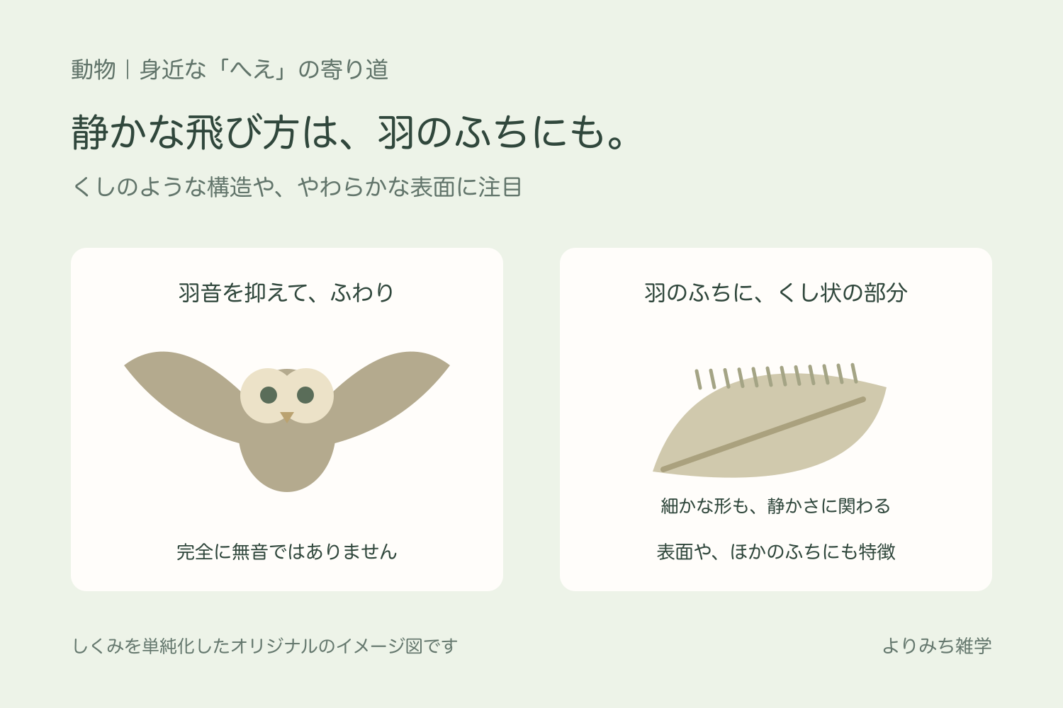 明るい背景を飛ぶフクロウと、羽のふちにあるくし状の構造を大きく単純化した図解