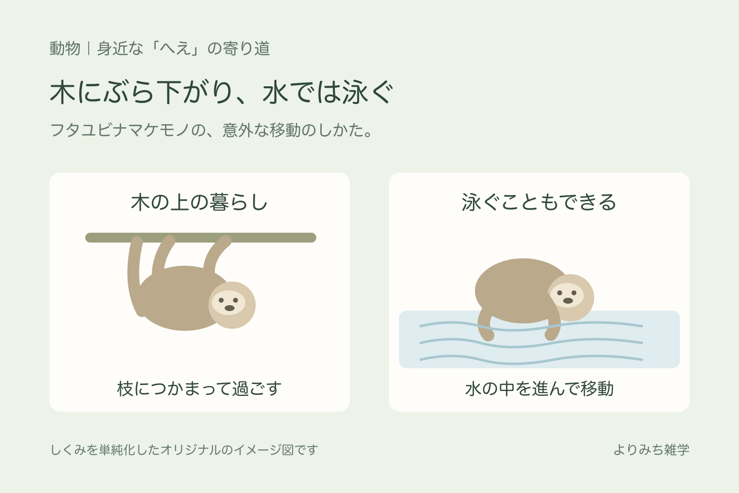木の枝にぶら下がるフタユビナマケモノと、水面を泳いで進む姿を並べたイラスト