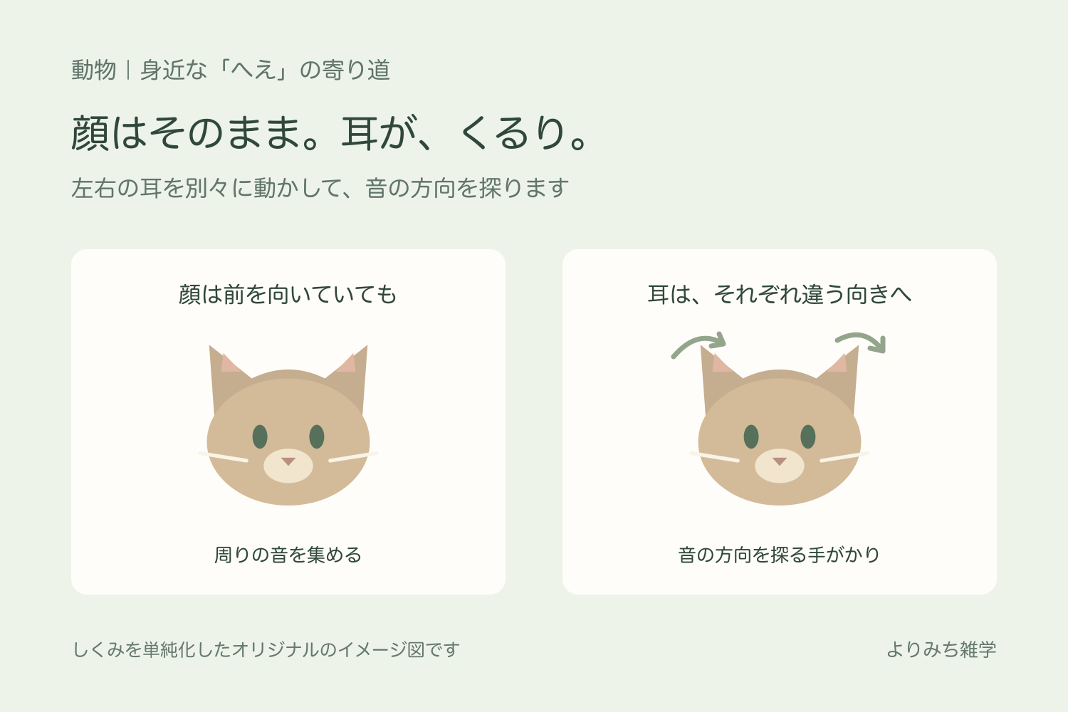 正面を向く猫と、左右の耳をそれぞれ違う方向へ動かす様子を示す模式図