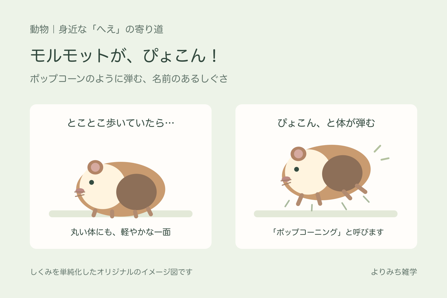 地面にいるモルモットと、四つの足を地面から離して小さく跳ぶ姿を並べたイメージ図