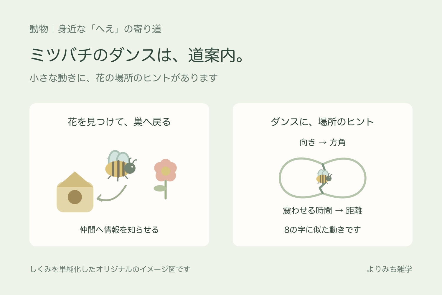 花から巣へ戻るミツバチと、8の字に似たダンスが方向と距離の手がかりを伝えることを示す図解