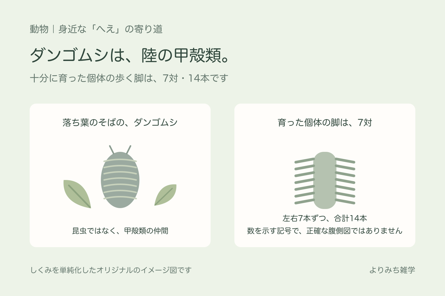 落ち葉の近くにいるダンゴムシと、左右7本ずつの歩く脚を単純化して示す図解