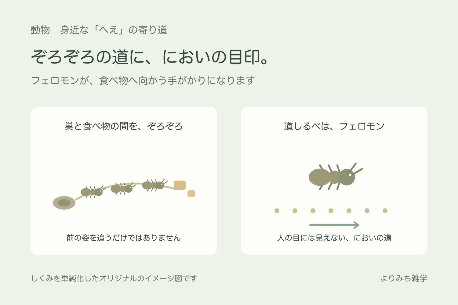 巣と食べ物の間を進むアリと、地面の道しるべを点線で表した図解