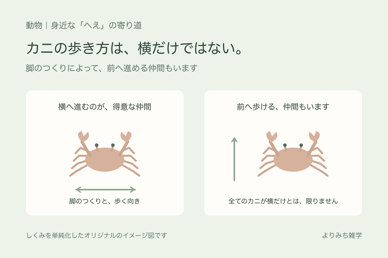 横へ歩くカニと、前へ進める仲間もいることを別々の矢印で示す図解