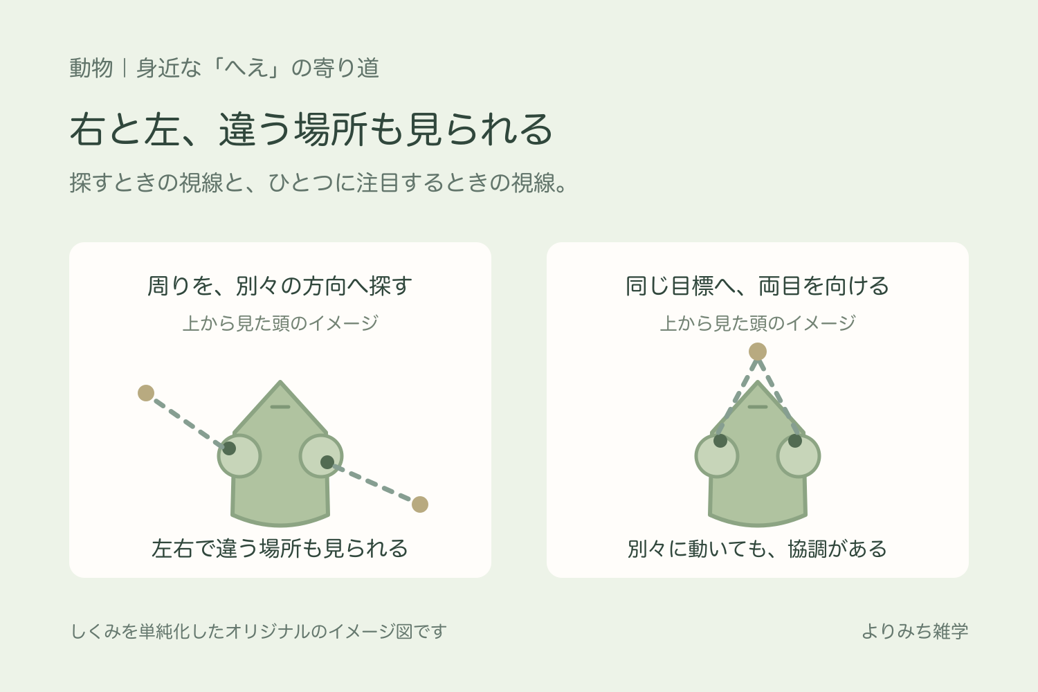 上から見たカメレオンの頭の模式図で、左右の目が異なる方向を見る場面と同じ目標へ向く場面を示す図解