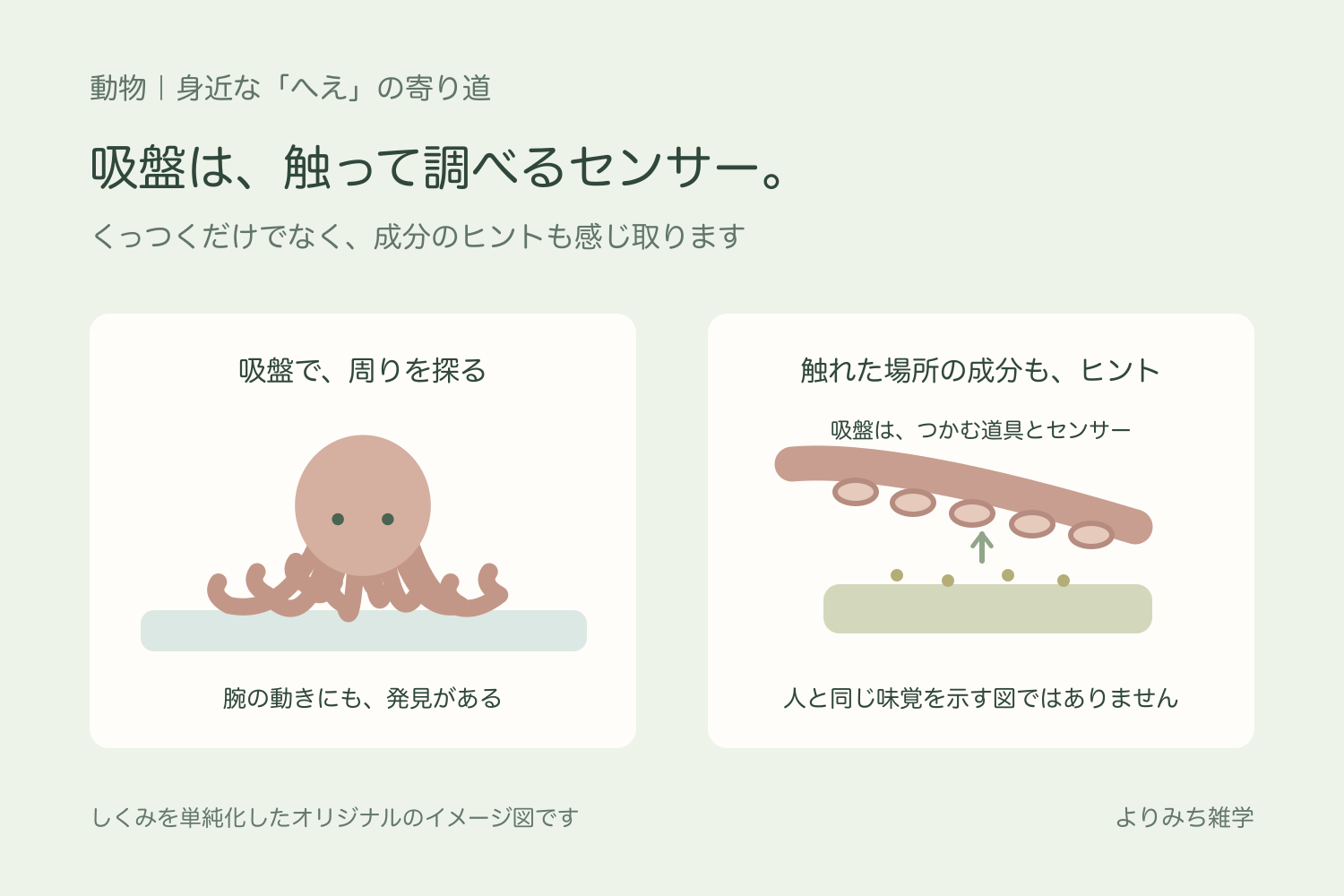 腕を伸ばすタコと、吸盤が触れた場所の成分を感じ取る考え方を示す模式図