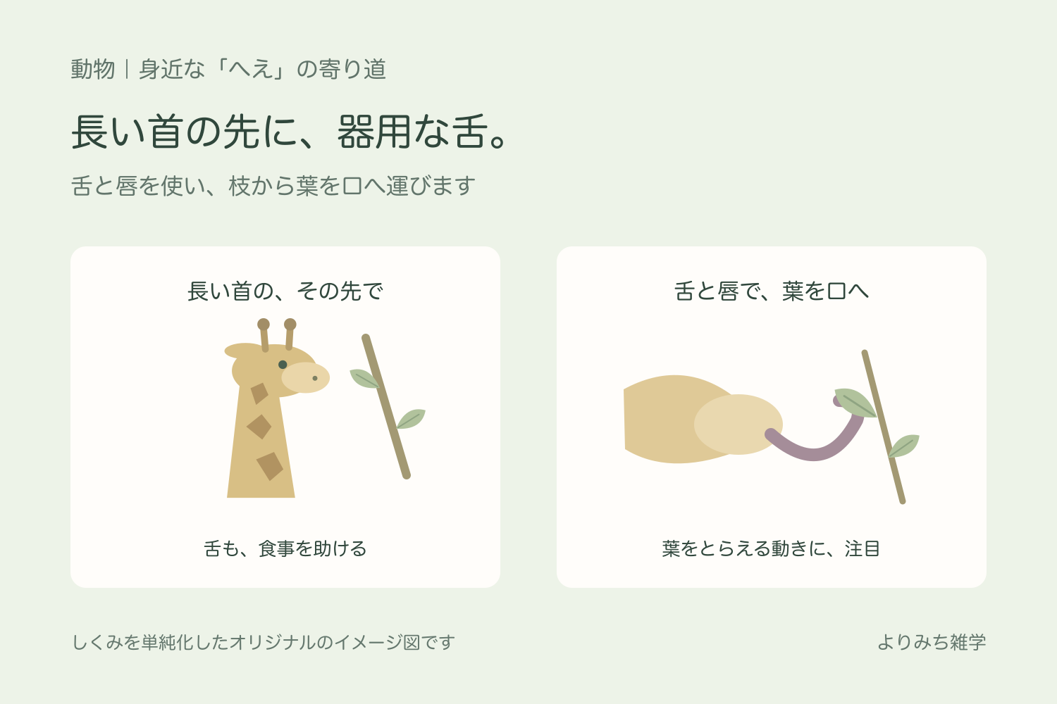枝へ顔を伸ばすキリンと、長い舌を葉に回して引き寄せる動きを示す模式図