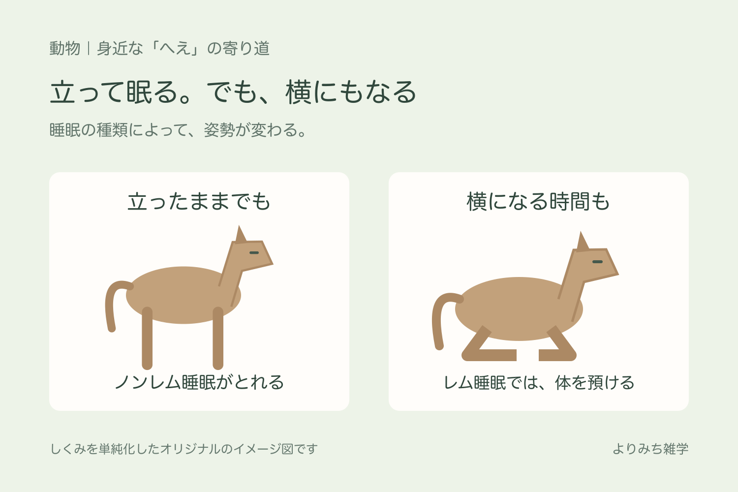 立って眠る馬と、横になってレム睡眠をとる馬を並べたイラスト