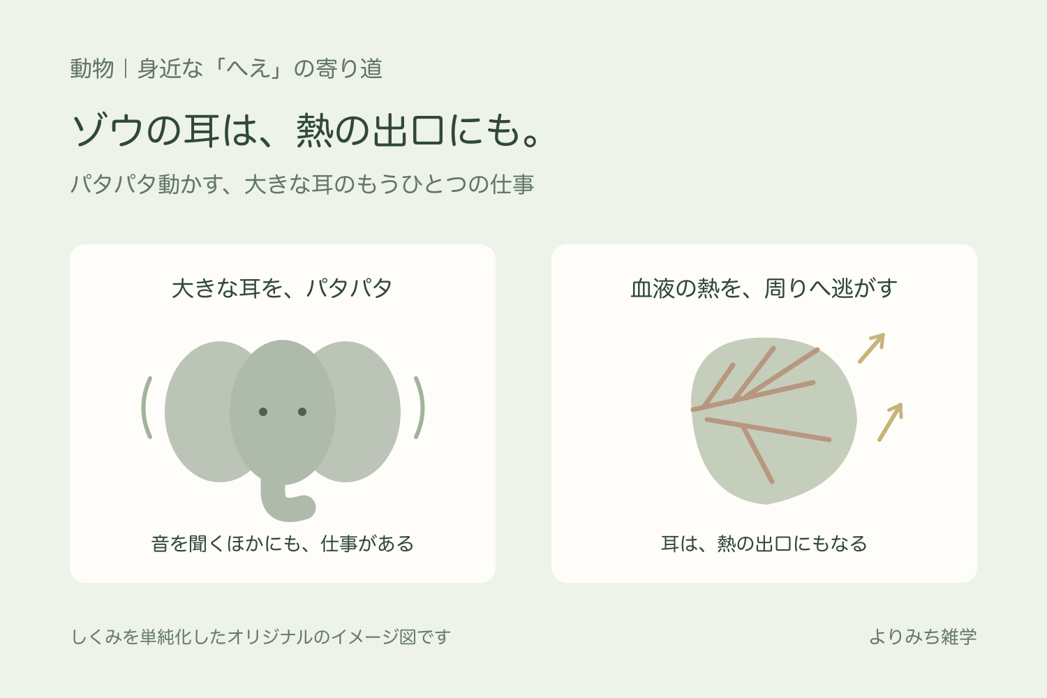 耳を広げたゾウと、耳を流れる血液の熱が周囲へ逃げる考え方を示す模式図