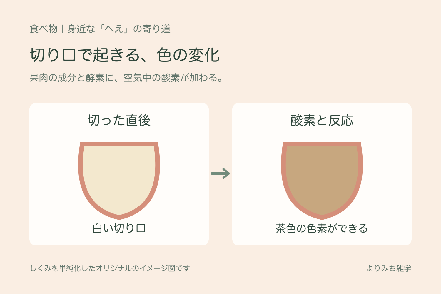 切った直後の白いりんごと茶色くなった切り口、酸素との反応を示すイラスト