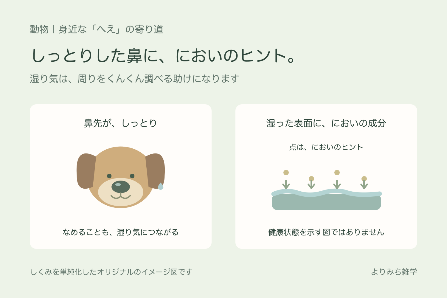 しっとりした鼻を持つイヌと、鼻の湿った表面ににおいの成分がつく考え方を示す模式図
