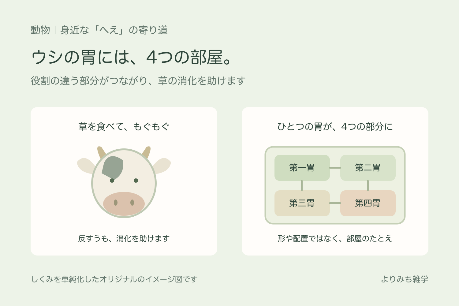 草を前にもぐもぐするウシと、ひとつの囲みの中に4つの部分がつながる胃の考え方を示す図解