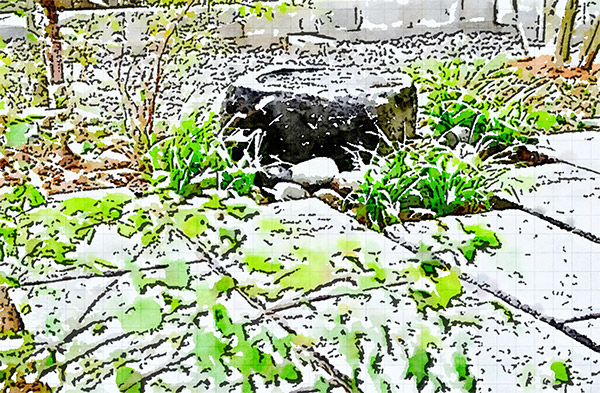 揖斐・三輪の庭