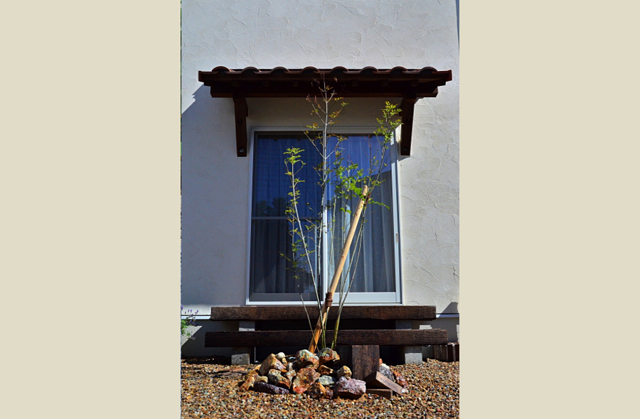 揖斐・小島の庭