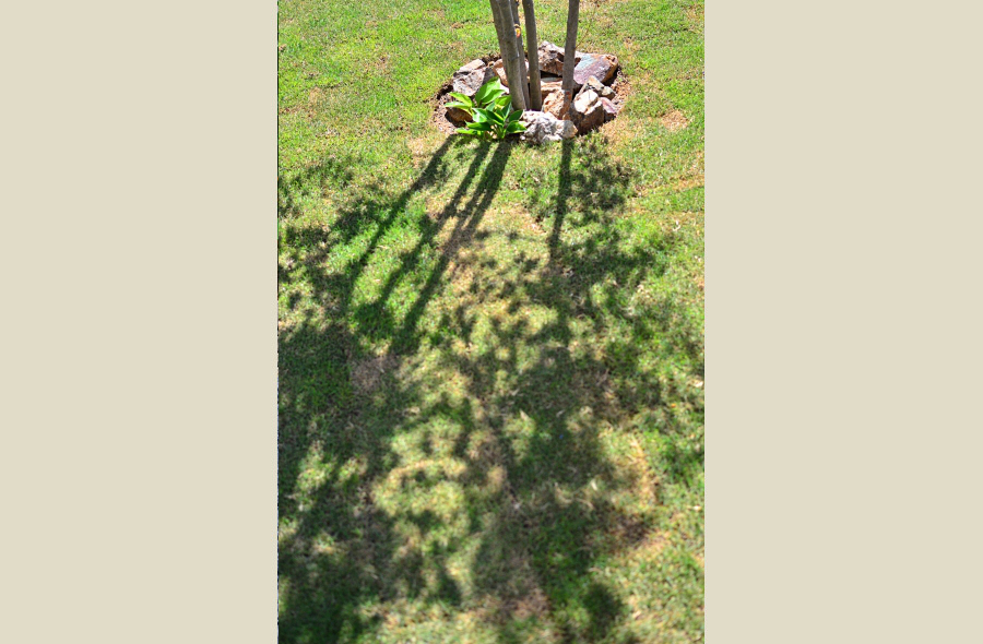 神戸・神戸の庭