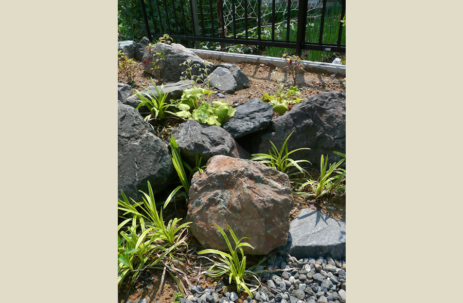 岐阜・尻毛の庭