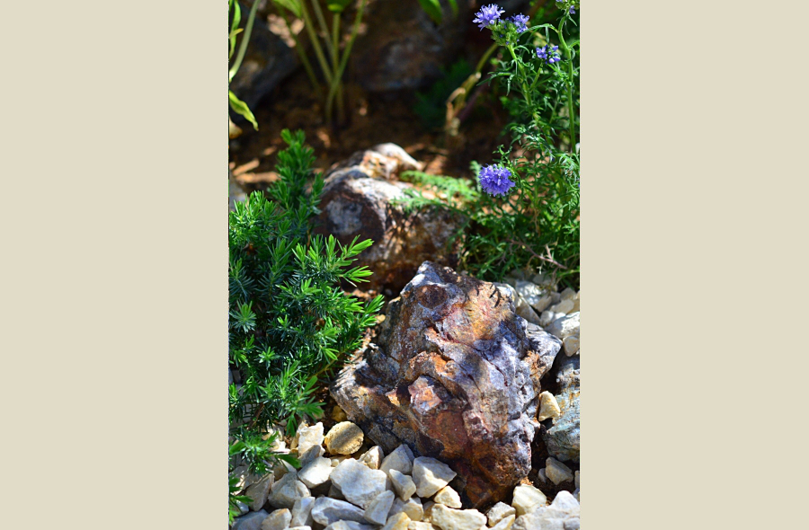 神戸・神戸の庭