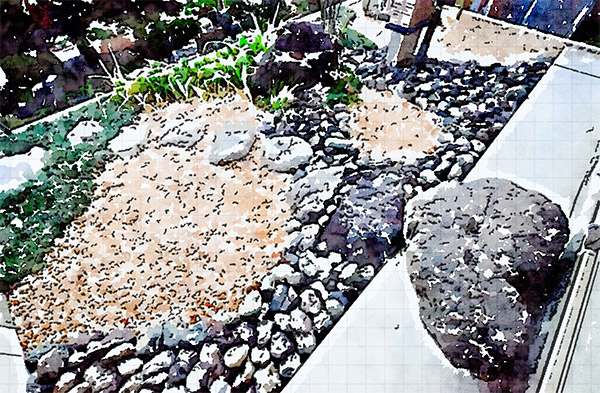 揖斐・前島の庭