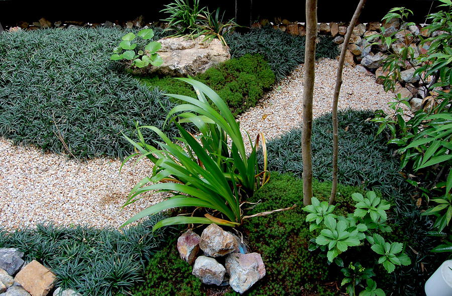 大垣・菅野の庭