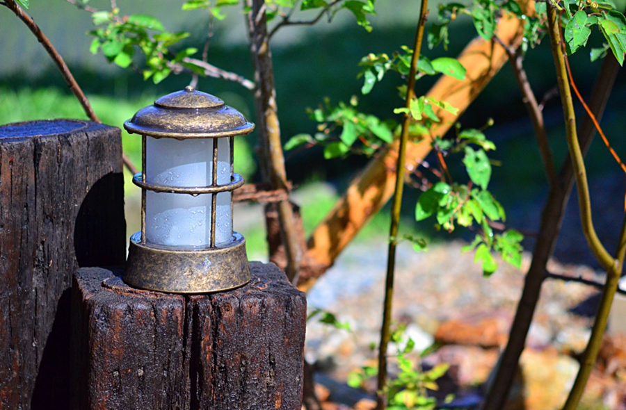 揖斐・小島の庭