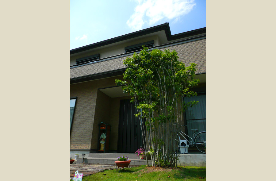 岐阜・尻毛の庭