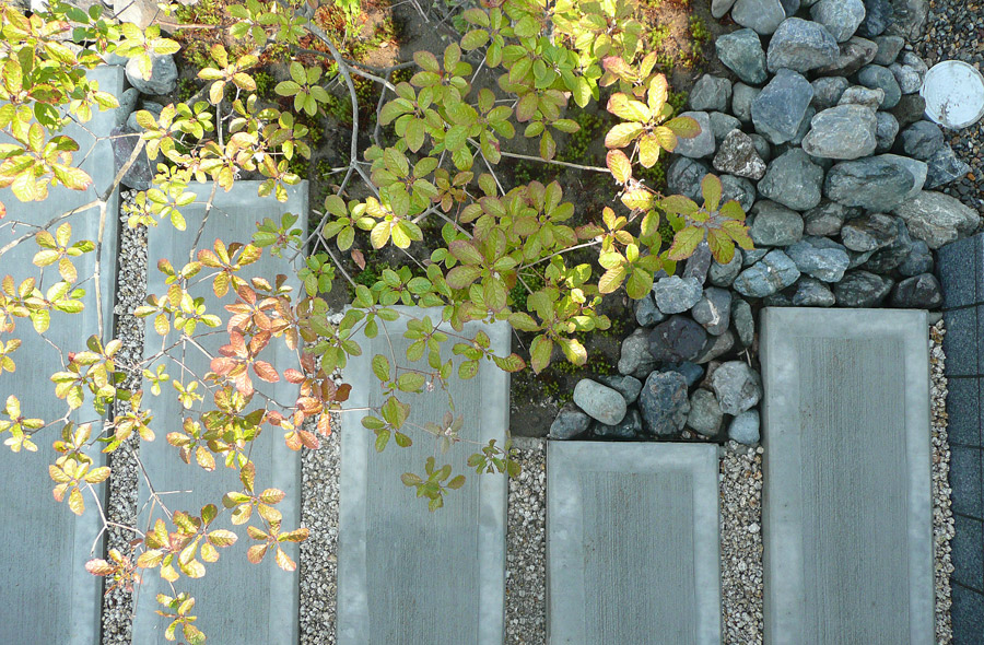 岐阜・六条片田の庭