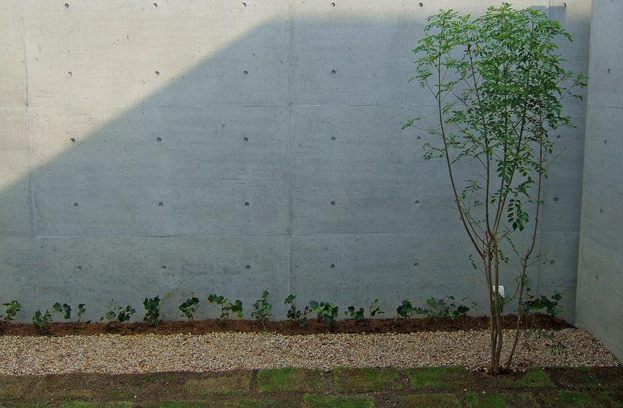 各務原・那加桜の庭