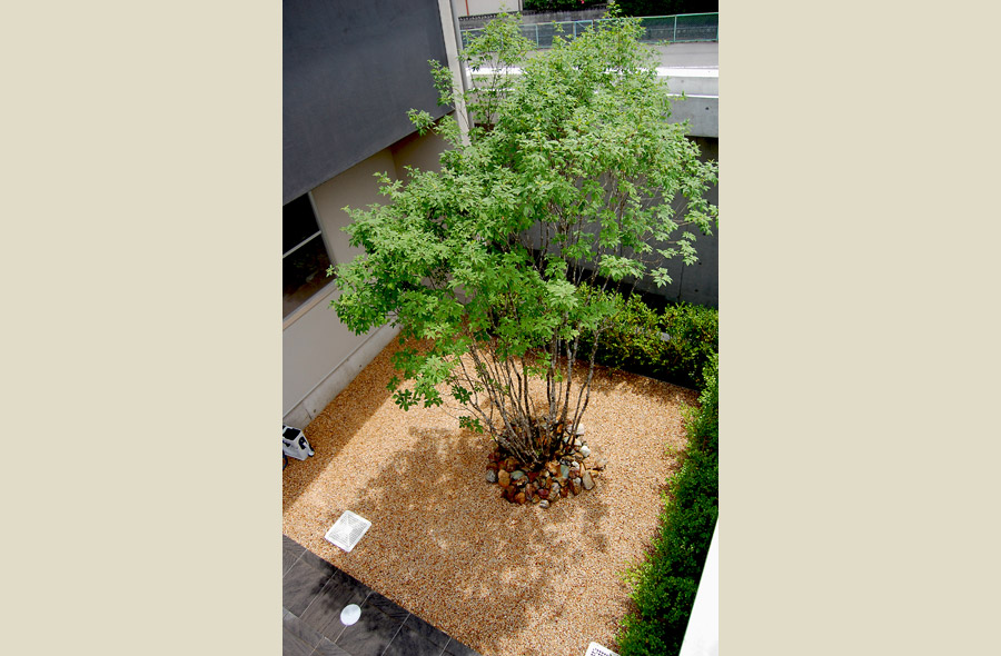 大垣・菅野の庭