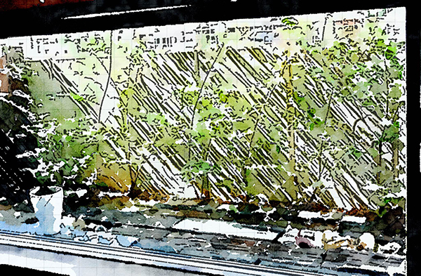 本巣北方・hairsalon xin-fu