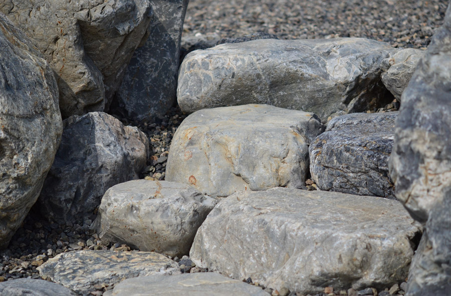 本巣・海老の庭