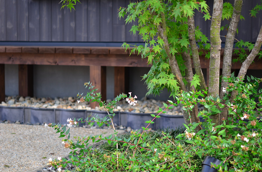 犬山・西古券の庭