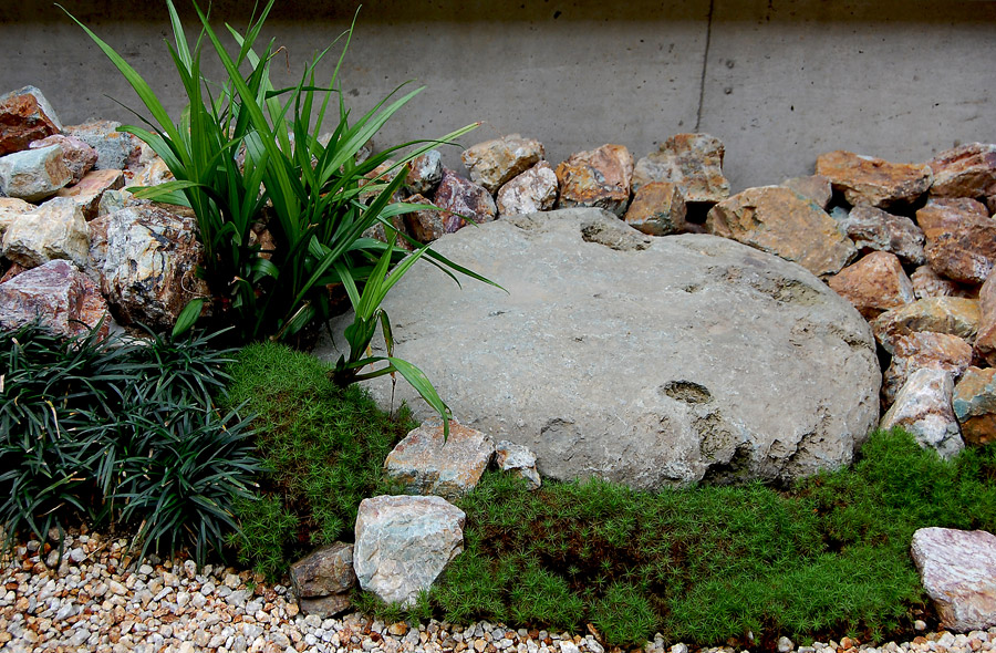 大垣・菅野の庭