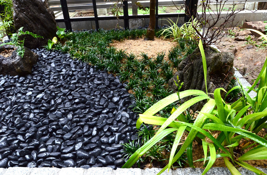 愛知・豊橋の庭